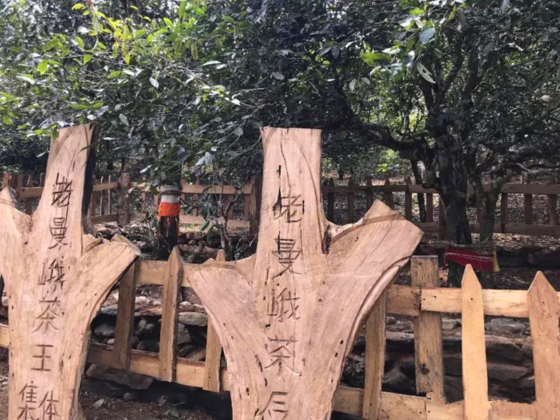 背部刮痧——国产综合人妻在线欧美日韩，重塑摄影艺术的光学奇迹