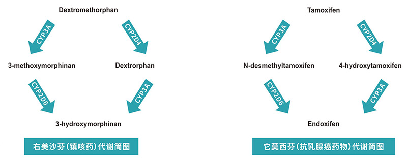 富士能用镜头——亚洲精品久久国产高清，捕捉生活，定格永恒的视觉艺术