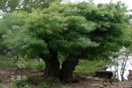 佳能镜头更新亚洲精品久久国产高清，革新视觉体验，解锁摄影新境界