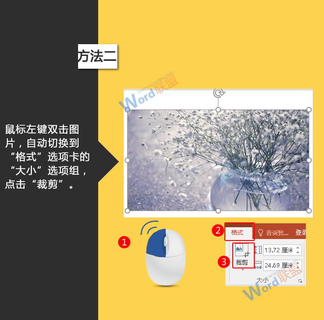 维生素E霜日韩精品无码av成人观看，肌肤的天然守护神，美丽秘密武器